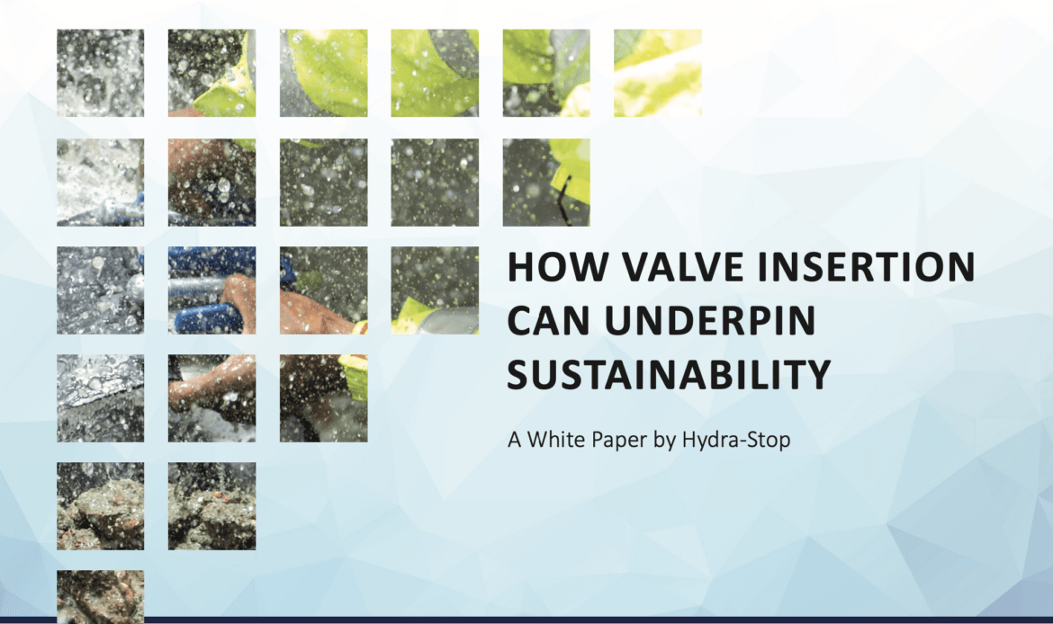 How Valve Insertion Can Underpin Sustainability