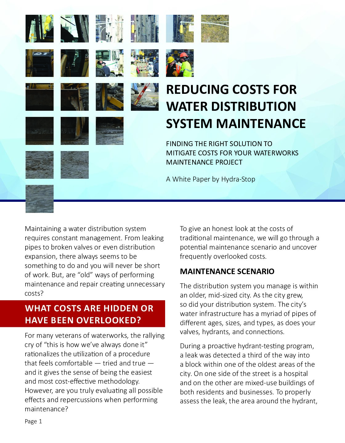 White Paper Title